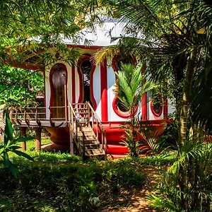 book here